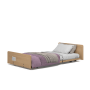 Aidacare FLX Floorline Bed