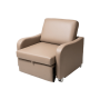 Aspire Comfy Sleeper Chair-Bed