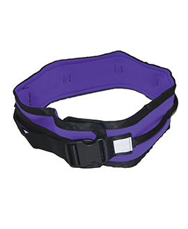 Transfer & Walk Belts