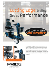 Gopher DX Scooter Flyer