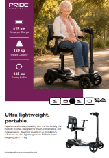 Pride GoGo MG Lite Flyer