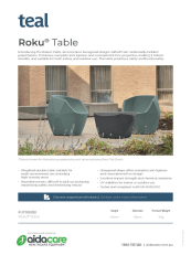Teal Roku Coffee Table Flyer